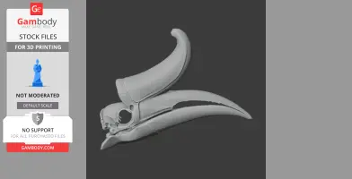 3D model of a rhinoceros hornbill skull, detailed and ready for 3D printing.