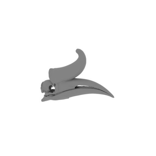 Hornbill (Rhinoceros) Skull.stl