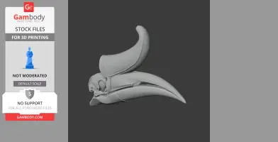 Rhinoceros hornbill skull replica with prominent curved casque and beak, ready for 3D printing.