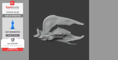 3D model of a horse skull replica, showing detailed jaw and teeth structure, on a dark background.
