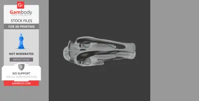 3D model of a horse skull from a top view, showing detailed bone structures for printing.