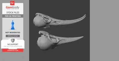 Huia Skull - Skull Replica STL
