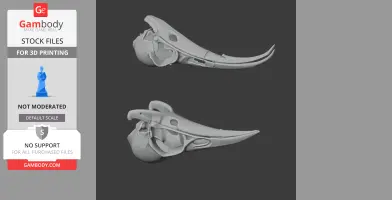 Huia Skull - Skull Replica STL