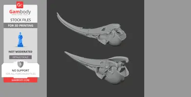 Huia Skull - Skull Replica STL