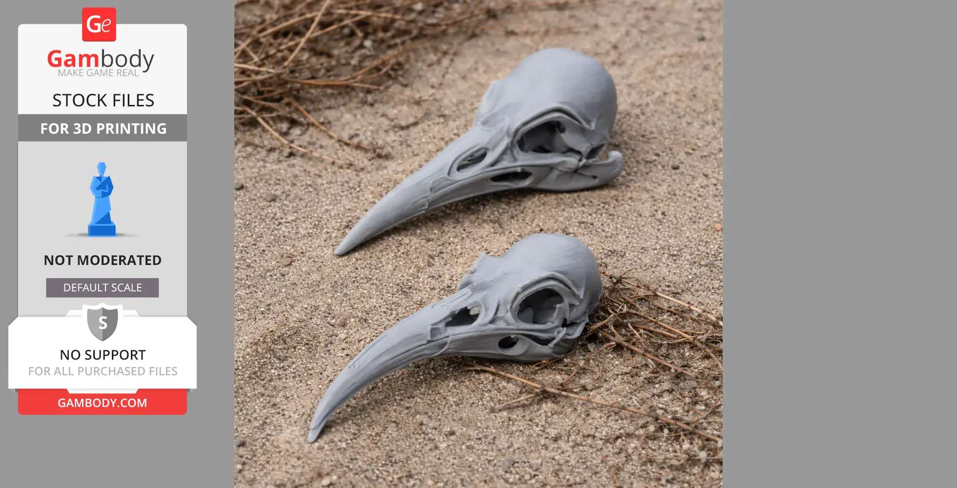 Huia Skull - Skull Replica STL