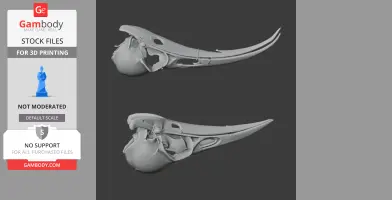 Huia Skull - Skull Replica STL
