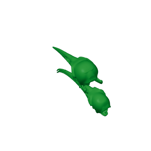 Huia Skull.3mf