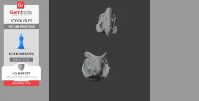 Huia Skull - Skull Replica STL