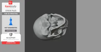 A detailed 3D human skull model for printing, displayed in side view on a gray background.