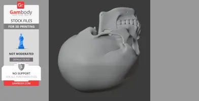 3D model of a human skull viewed from the side, showing teeth and cranial details.