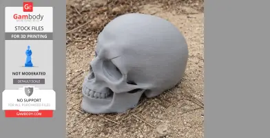 3D-printed human skull model on sandy ground, detailed texture visible.