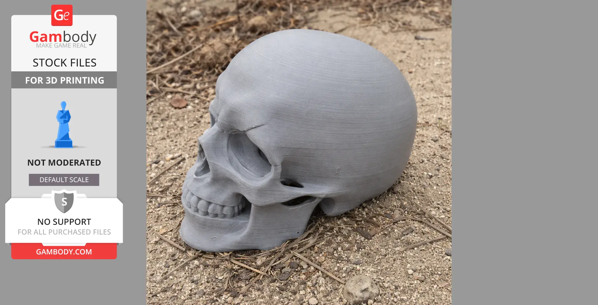 3D-printed human skull model on sandy ground, detailed texture visible.