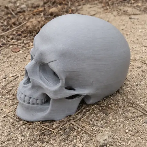 A realistic 3D-printed human skull replica placed on sandy ground.