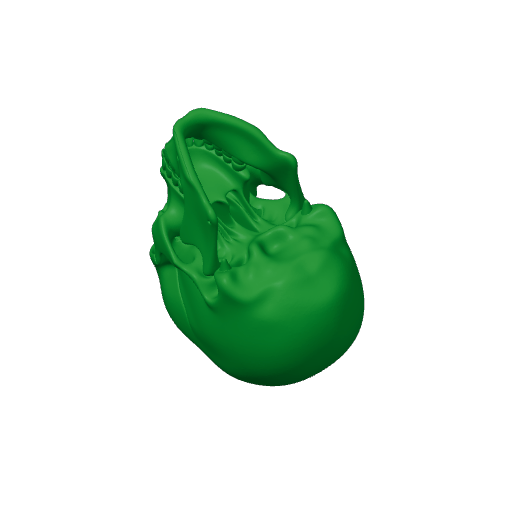 Human Skull.3mf