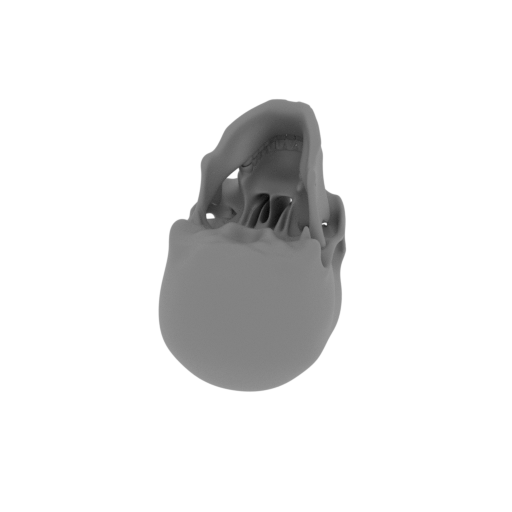 Human Skull.stl