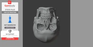 3D model of a detailed human skull from a bottom view, designed for 3D printing.