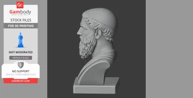 Side view of a detailed 3D bust of a bearded historical figure wearing a cap, on a pedestal.