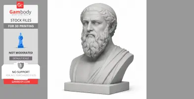 A detailed 3D-printed bust of a historical figure with a beard and classical attire.