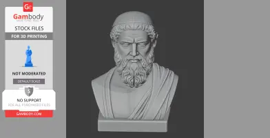 A 3D model of an ancient bearded philosopher bust with a robe, suitable for 3D printing.