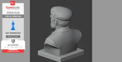 Niels Bohr Bust - Historical Warrior STL