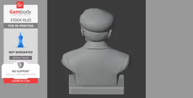 Niels Bohr Bust - Historical Warrior STL
