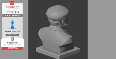 Niels Bohr Bust - Historical Warrior STL