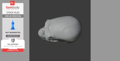 Homo neanderthalensis Skull - Skull Replica STL