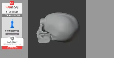 Homo neanderthalensis Skull - Skull Replica STL