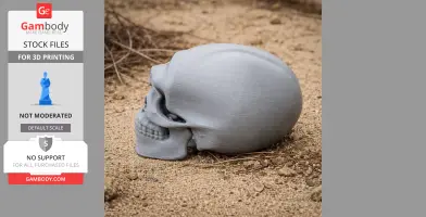Homo neanderthalensis Skull - Skull Replica STL