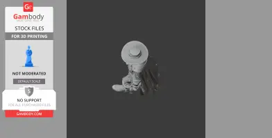 Prairie Hawk Cowboy Gunslinger - Historical Warrior STL