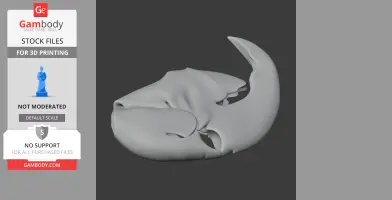 Hyacinth Macaw Skull - Skull Replica STL