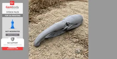 Hyacinth Macaw Skull - Skull Replica STL