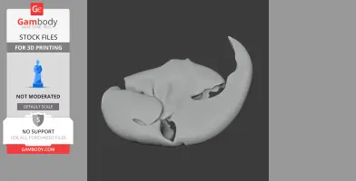 Hyacinth Macaw Skull - Skull Replica STL