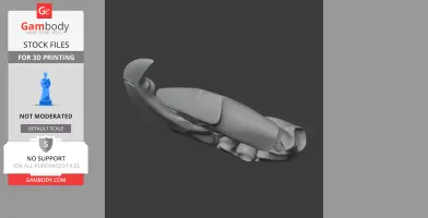 Hyacinth Macaw Skull - Skull Replica STL