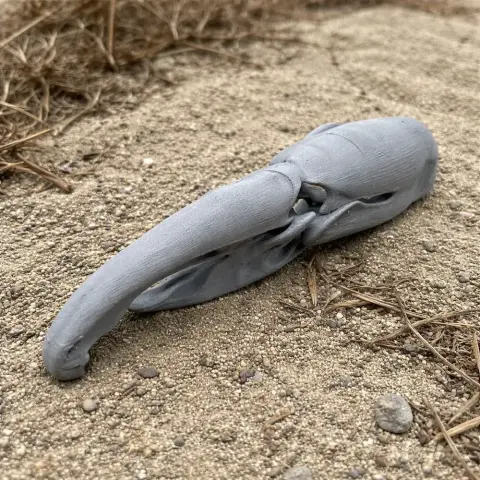 Hyacinth Macaw Skull - Skull Replica STL