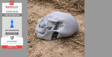 Hyainailouros Skull - Skull Replica STL