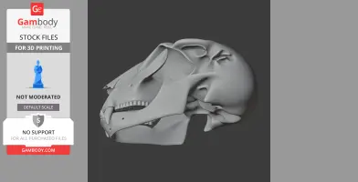 Hyainailouros Skull - Skull Replica STL