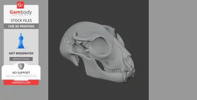 Hyainailouros Skull - Skull Replica STL