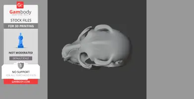 Hyainailouros Skull - Skull Replica STL