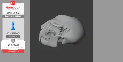 Hyainailouros Skull - Skull Replica STL