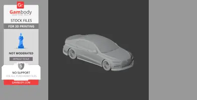 Audi RS 3 LMS - Scale Vehicle STL