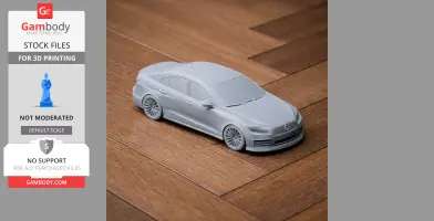 Audi RS 3 LMS - Scale Vehicle STL