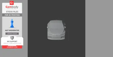 Audi RS 3 LMS - Scale Vehicle STL