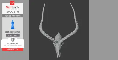 Impala Skull - Skull Replica STL