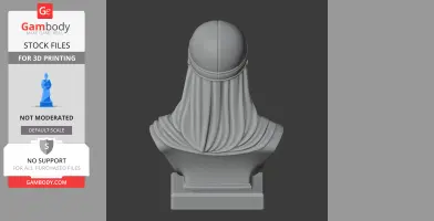 Back view of Ptolemy I bust with cloak and helmet in 3D model for printing.