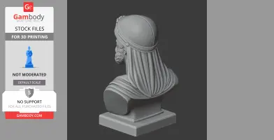 3D model of a historical warrior bust wearing a draped headpiece, viewed from the back.