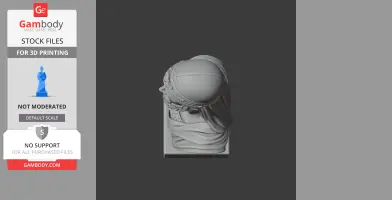 A detailed 3D bust of a historical warrior with a helmet, viewed from above for 3D printing.