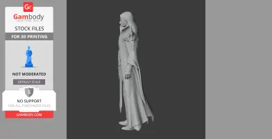 Caliligos - Lost Ark Figurine - Character Figure STL