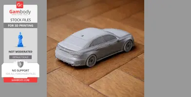 3D-printed Audi RS3 model in gray on a wooden surface, captured from a rear angle.