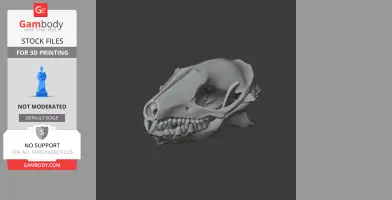 Indian Long-eared Hedgehog Skull - Skull Replica STL